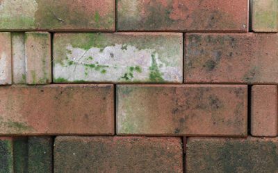 Brick Cleaning Problems That May Require a Masonry Pro