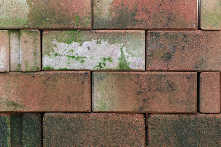 Brick Cleaning Problems That May Require a Masonry Pro